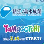 湘南ニュース_1_新江ノ島水族館_たまごっちコラボ_1280×720