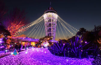 湘南デートスポット