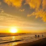 鵠沼_サーフィン