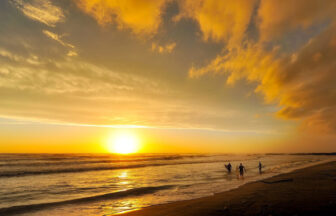 鵠沼_サーフィン