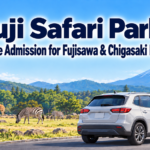 Fuji Safari Park Free Entry for Fujisawa Chigasaki