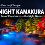 ZEN NIGHT at Kenchoji